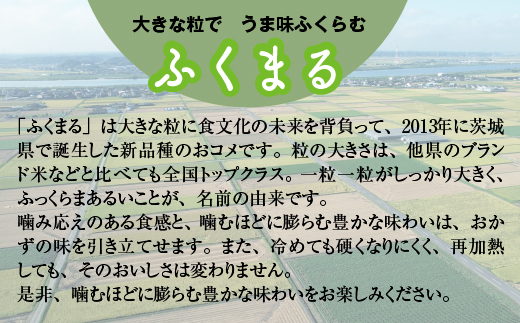 【定期便／3ヶ月 令和6年産】稲敷市産 無洗米 ふくまる 合計30kg【農家直送】[1043]