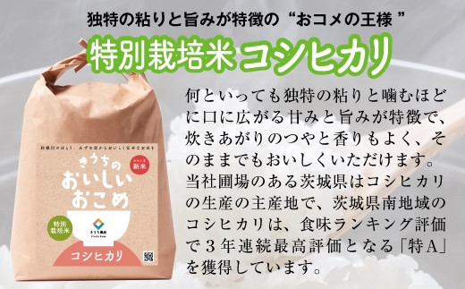 【令和6年産】特別栽培米 コシヒカリ 20kg (5kg×4) [1041]