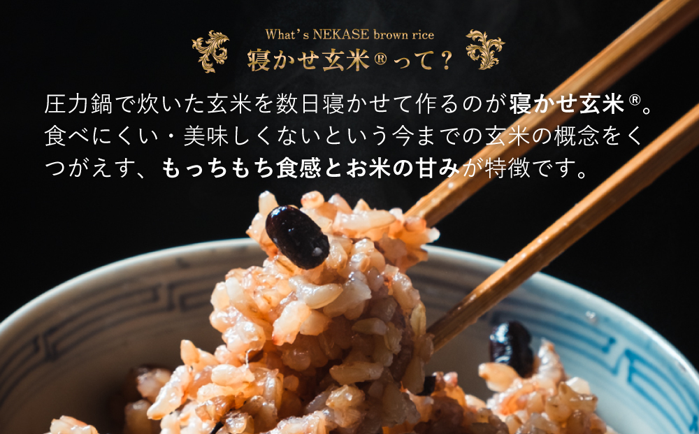 寝かせ玄米ごはんパック もち麦ブレンド 160g×24食｜玄米 常温保存 パックご飯 備蓄 一人暮らし レトルト もち麦 雑穀 [1612]