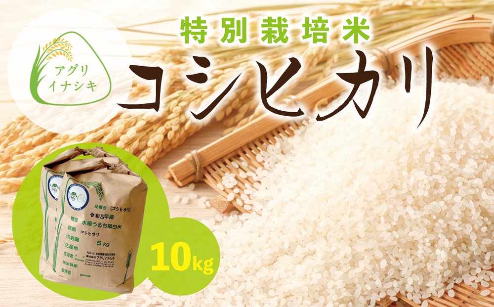 新米【令和6年産】茨城県稲敷市産 特別栽培米 コシヒカリ 合計10kg (5kg×2袋)｜米 おこめ 精米 農家直送 直送 茨城県 [1103]