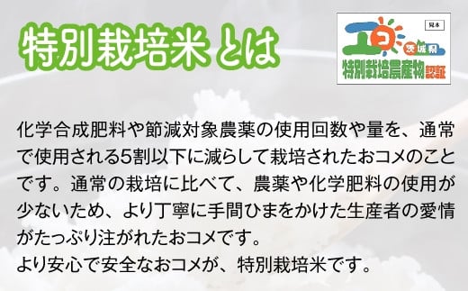 【定期便／3ヶ月 令和6年産】特別栽培米コシヒカリ 合計30kg【農家直送】[1040]