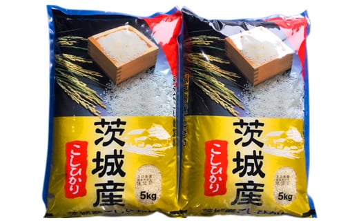 新米【定期便／3ヶ月 令和6年産】コシヒカリ 白米 10kg (5kg×2袋) 茨城県産 お米の王様！｜おこめ 精米 こしひかり 直送 稲敷 茨城 [1091]