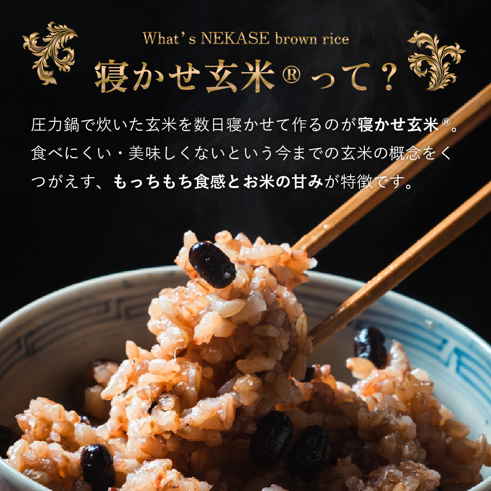 寝かせ玄米ごはんパック 4種ミックス 160g×6食 (小豆ブレンド／黒米ブレンド 各2食、もち麦ブレンド／十五穀ブレンド 各1食)｜玄米 常温保存 パックご飯 備蓄 一人暮らし レトルト 雑穀 [1731]