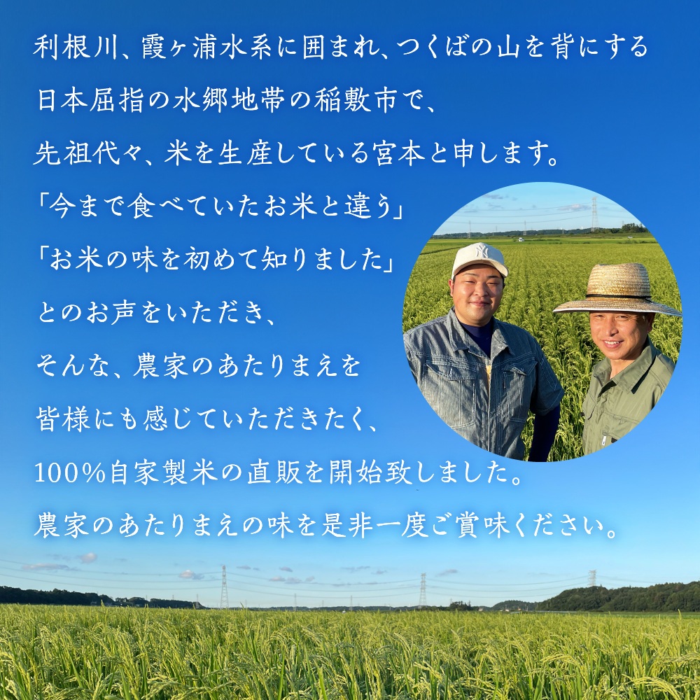 【令和7年産】茨城県稲敷市産 宮本さん家のこしひかり 20kg(10kg×2袋)｜米 おこめ コシヒカリ 精米 農家直送 直送 茨城県 [1654]