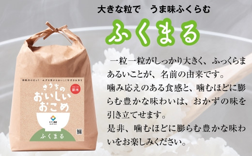 【令和6年産】稲敷市産 無洗米ふくまる 10kg (5kg×2)【農家直送】[1042]