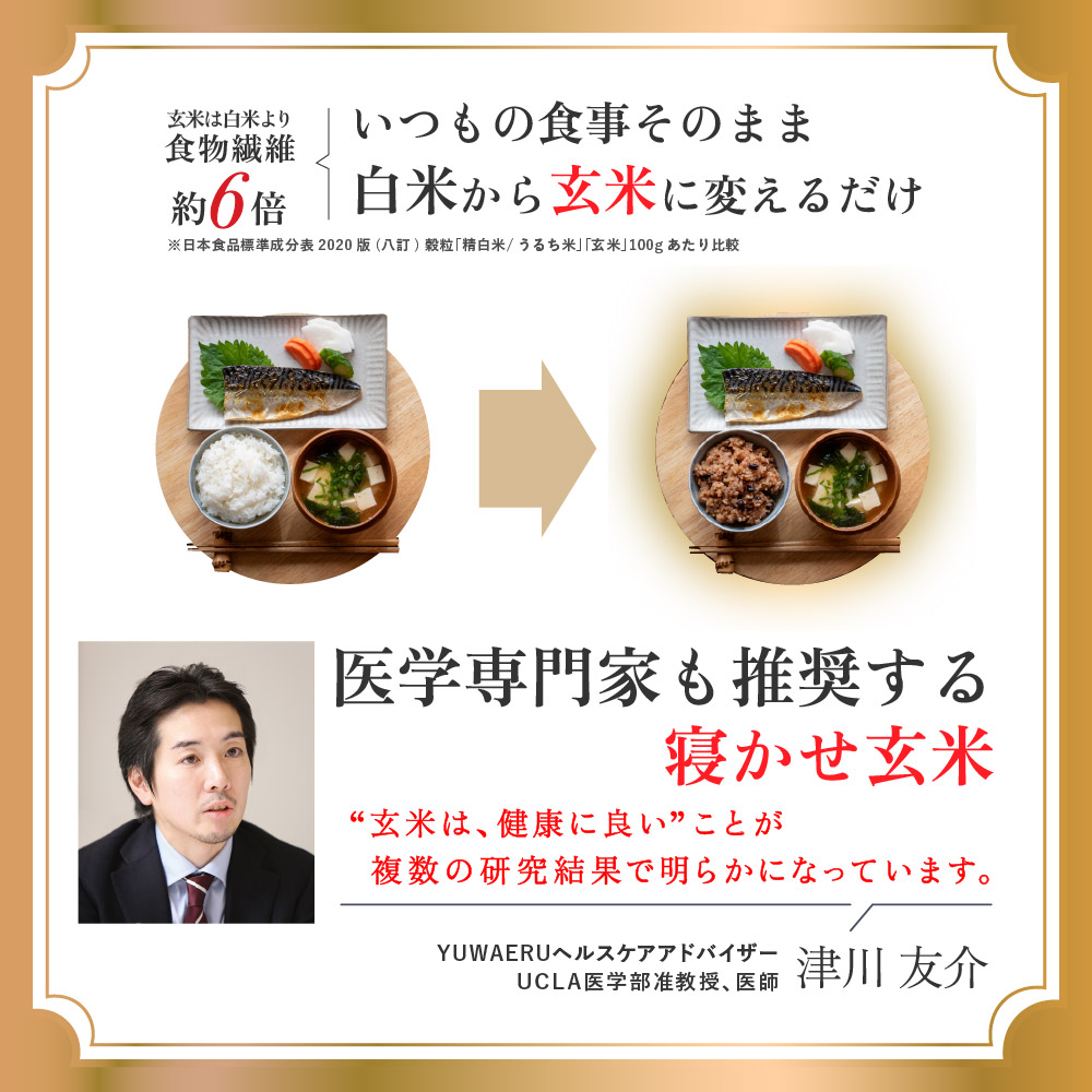 寝かせ玄米ごはんパック もち麦ブレンド 160g×24食｜玄米 常温保存 パックご飯 備蓄 一人暮らし レトルト もち麦 雑穀 [1612]