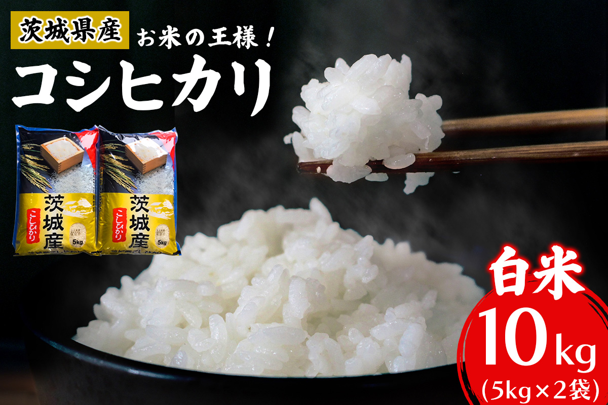 【令和7年産】お米の王様！茨城県産 コシヒカリ 白米 10kg (5kg×2袋)｜おこめ 精米 こしひかり 直送 稲敷 茨城 [1893]