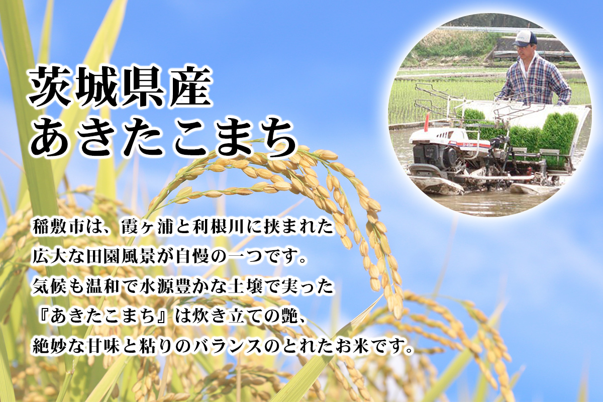 【定期便／3ヶ月 令和7年産】あきたこまち 白米 計15kg (5kg×1袋×3ヶ月) 茨城県稲敷市産｜おこめ 精米 直送 お米 産地 茨城 稲敷 [1904]