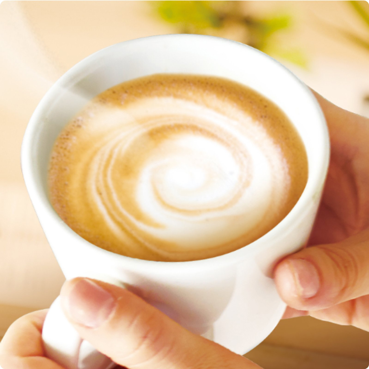 ネスカフェ エクセラ ふわラテ ミニアソートセット8箱(4種×各2箱)合計208杯｜珈琲 インスタント スティック コーヒー ラテ カフェ ネスレ [1888]