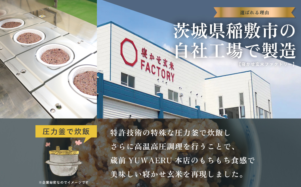 寝かせ玄米ごはんパック もち麦ブレンド 160g×24食｜玄米 常温保存 パックご飯 備蓄 一人暮らし レトルト もち麦 雑穀 [1612]
