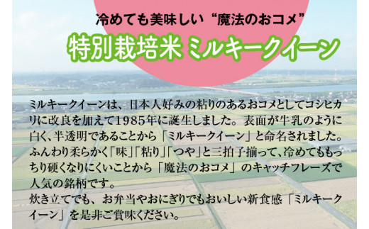 【令和6年産】特別栽培米 ミルキークイーン 10kg (5kg×2) [1033]