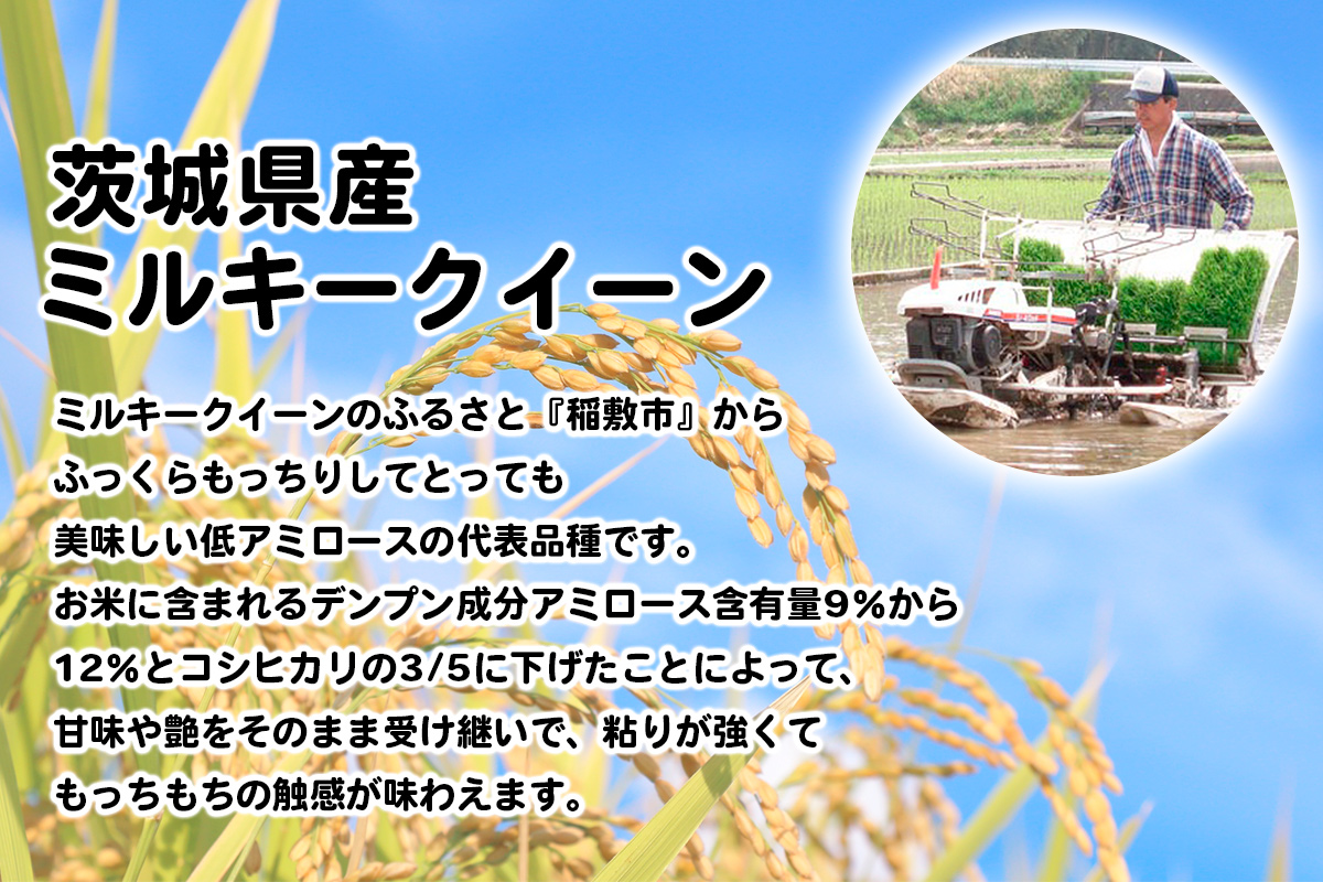 【定期便／3ヶ月 令和7年産】ミルキークイーン 白米 計15kg (5kg×1袋×3ヶ月) 茨城県産 ふっくらもっちり｜お米 おこめ 精米 直送 稲敷 茨城 [1900]