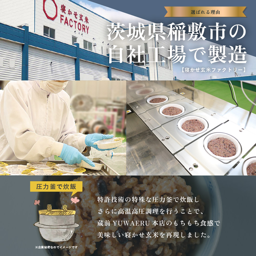 寝かせ玄米ごはんパック 黒米ブレンド 160g×24食｜玄米 常温保存 パックご飯 備蓄 一人暮らし レトルト 黒米 [1611]