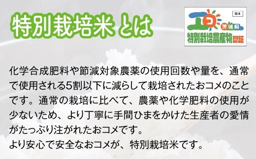 【令和6年産】特別栽培米 ミルキークイーン 20kg (5kg×4) [1035]