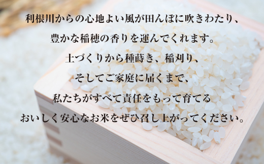 【定期便／3ヶ月 令和6年産】稲敷市産 無洗米 ふくまる 合計30kg【農家直送】[1043]