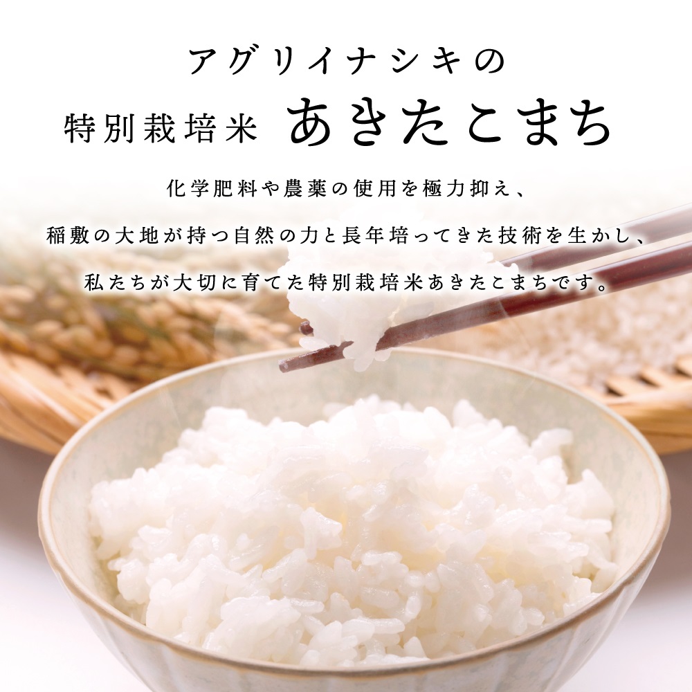 新米【令和6年産】茨城県稲敷市産 特別栽培米 あきたこまち 合計10kg (5kg×2袋)｜米 おこめ 精米 農家直送 直送 茨城県 [1100]