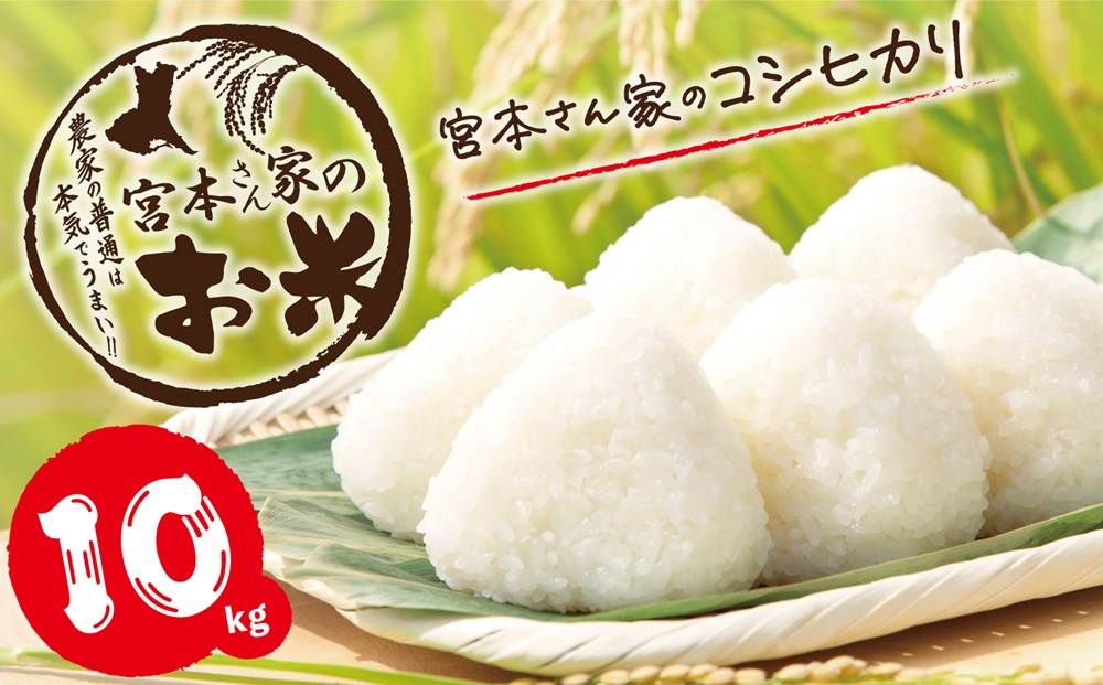 【令和7年産】茨城県稲敷市産 宮本さん家のこしひかり 10kg×1袋 ｜米 おこめ コシヒカリ 精米 農家直送 直送 茨城県 [1653]