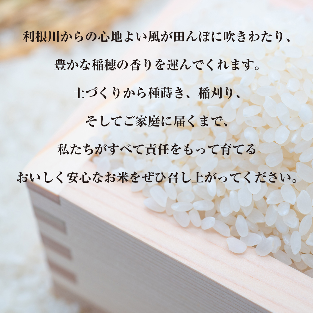 【令和7年産】 食べくらべセット 15kg (無洗米あきたこまち／無洗米コシヒカリ／ミルキークイーン 各5kg×3) 稲敷市産｜米 こめ コメ ごはん ご飯 あきたこまち コシヒカリ ミルキークイーン 無洗米 [1842]