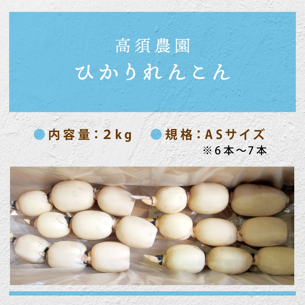 ひかりれんこん2kg (ASサイズ) 化粧箱入｜れんこん レンコン 蓮根 根野菜 浮島れんこん [1098]