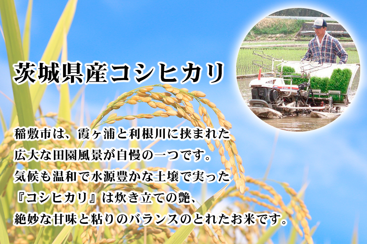 新米【定期便／3ヶ月 令和7年産】コシヒカリ 白米 計15kg (5kg×1袋×3ヶ月) 茨城県産 お米の王様！｜おこめ 精米 こしひかり 直送 稲敷 茨城 [1820]