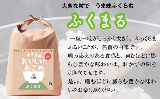 生活応援米 新米【令和6年産】無洗米 食べくらべセット 15kg (あきたこまち・ふくまる・にじのきらめき 各5kg×3)｜先行予約  [1045]