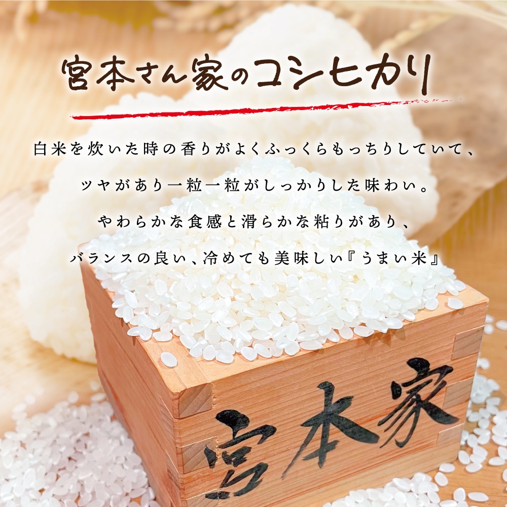 新米【令和6年産】茨城県稲敷市産 宮本さん家のこしひかり 合計15kg (5kg×3袋)｜米 おこめ こしひかり コシヒカリ 精米 農家直送 直送 茨城県 [1107]