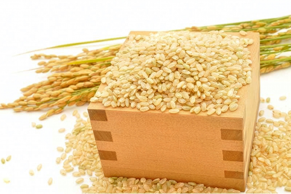 【令和7年産】特別栽培米 コシヒカリ 10kg (5kg×2袋)｜産地 直送 白鷺の里 あずま米 こしひかり 茨城県 稲敷市 [1907]