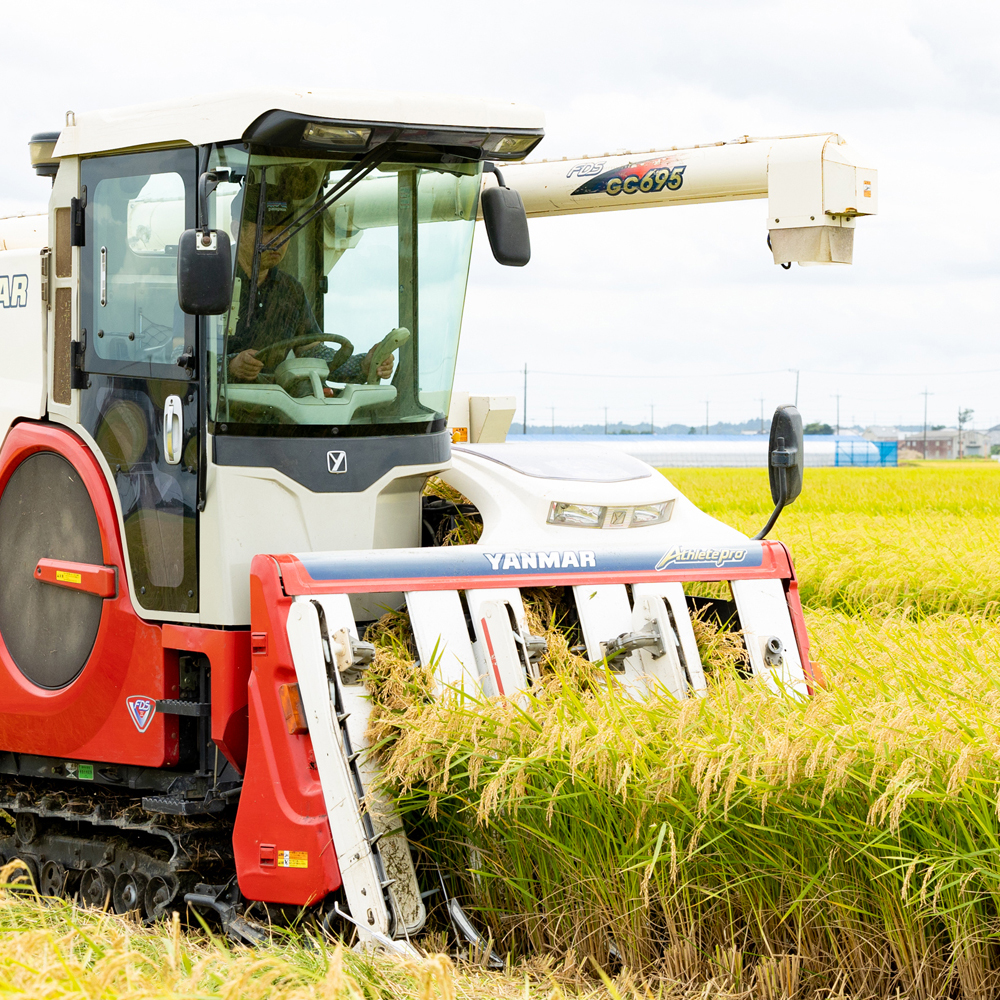 【令和7年産】 無洗米 あきたこまち 20kg (5kg×4) 稲敷市産 農家直送｜秋田小町 米 こめ コメ ごはん ご飯 [2086]