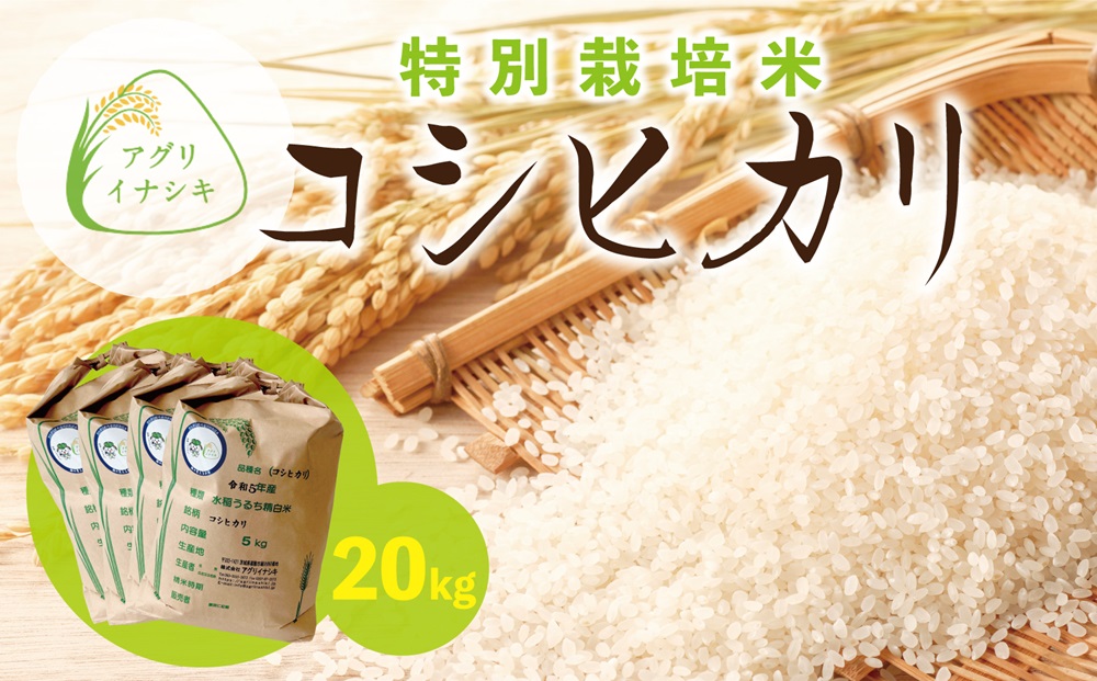 新米【令和6年産】茨城県稲敷市産 特別栽培米 コシヒカリ 合計20kg (5kg×4袋)｜米 おこめ 精米 農家直送 直送 茨城県 [1104]