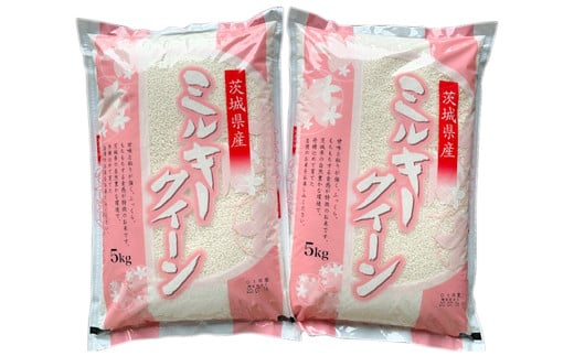 【定期便／3ヶ月 令和6年産】ミルキークイーン 白米 10kg (5kg×2袋) 茨城県産 ふっくらもっちり｜お米 おこめ 精米 直送 稲敷 茨城 [1520]