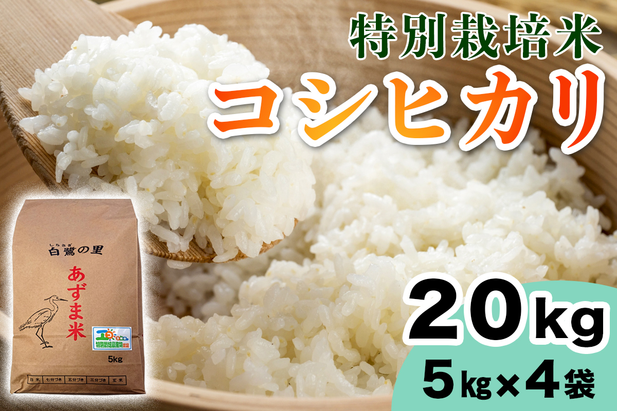 【令和7年産】特別栽培米 コシヒカリ 20kg (5kg×4袋)｜産地 直送 白鷺の里 あずま米 こしひかり 茨城県 稲敷市 [1909]