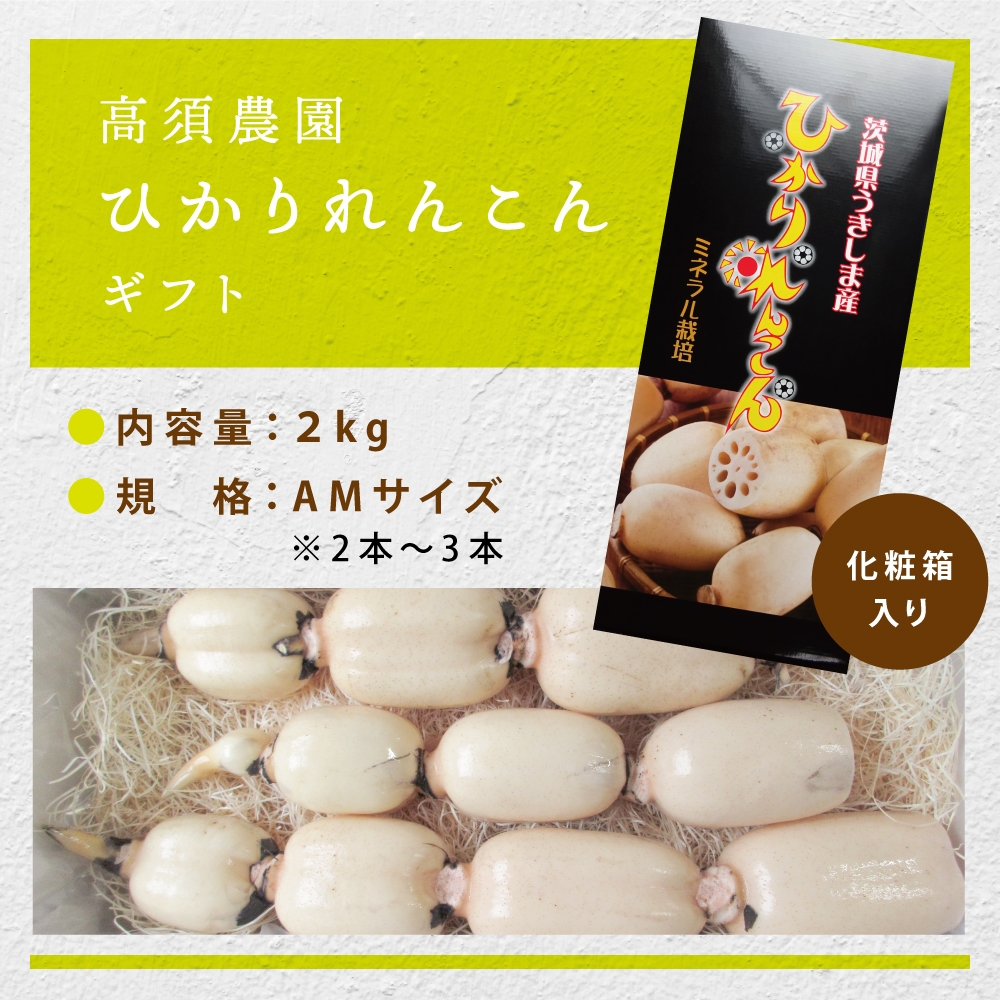 ひかりれんこんギフト2kg (AMサイズ) 化粧箱入｜れんこん レンコン 蓮根 根野菜 浮島れんこん [1097]