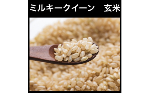 新米【令和6年産】ミルキークイーン 玄米 30kg 玄米といえば！茨城県産 ブランド米 [1078]