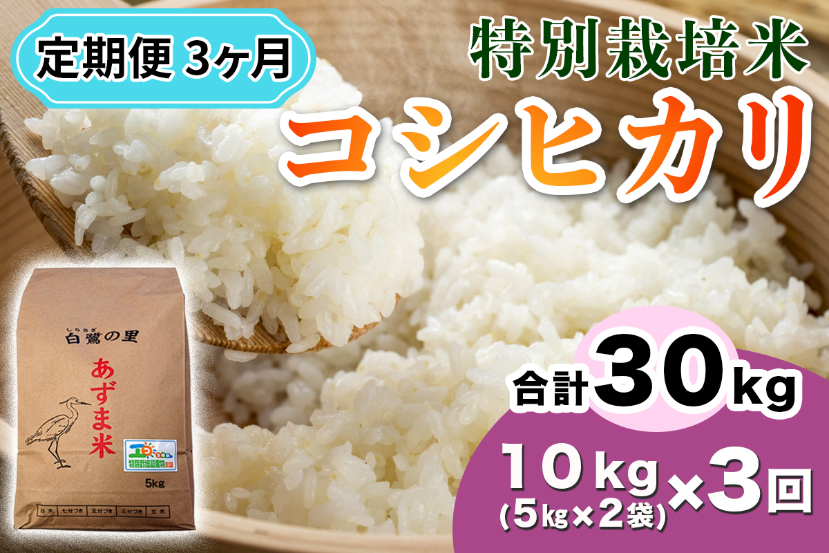 【定期便／3ヶ月 令和7年産】特別栽培米 コシヒカリ 10kg (5kg×2袋)×3回｜産地 直送 白鷺の里 あずま米 こしひかり 茨城県 稲敷市 [1908]