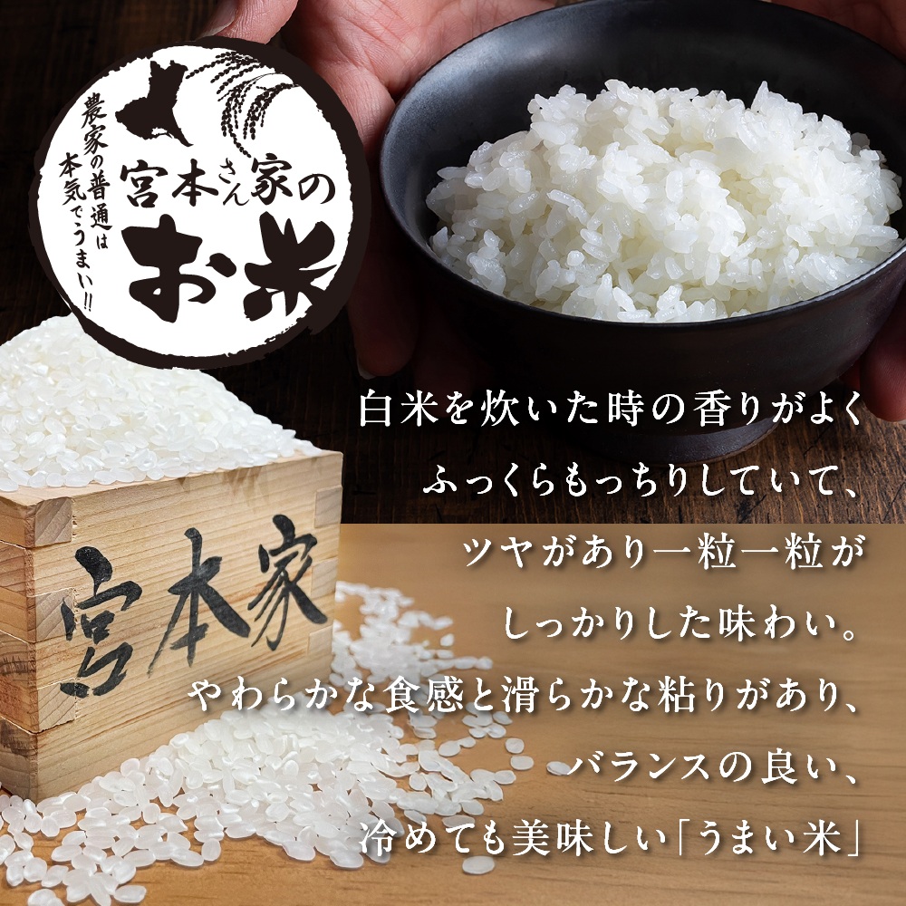 【令和7年産】茨城県稲敷市産 宮本さん家のこしひかり 10kg×1袋 ｜米 おこめ コシヒカリ 精米 農家直送 直送 茨城県 [1653]
