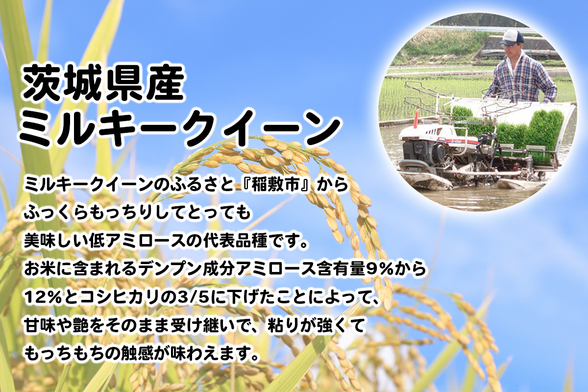 【定期便／3ヶ月 令和7年産】ミルキークイーン 白米 計30kg (5kg×2袋×3ヶ月) 茨城県産 ふっくらもっちり｜お米 おこめ 精米 直送 稲敷 茨城 [1892]
