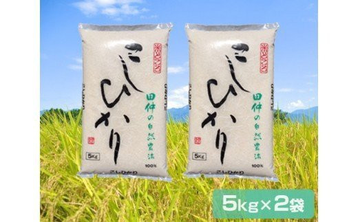 新米【令和6年産】特別栽培米 田仲のコシヒカリ 10kg (農薬・化学肥料7割減) (茨城県共通返礼品／稲敷市)｜米 おこめ 精米 農家直送 直送 茨城県 [1196]