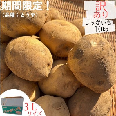 産地直送!訳ありお芋屋さんのBigじゃがいも(品種:とうや)10kg【配送不可地域：離島・沖縄県】【1645283】