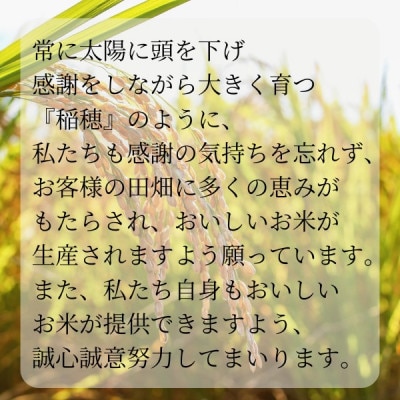 極上ふるさと米　精米10kg【配送不可地域：離島・北海道・沖縄県】【1703566】
