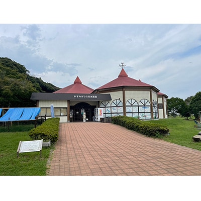 かすみがうら市水族館入館ご優待券とオリジナルTシャツ&ハンカチ【1394568】