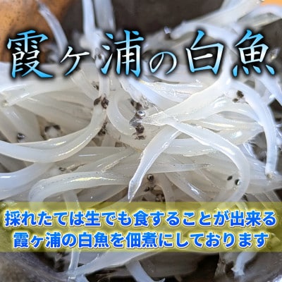 【甘辛がご飯に合う!】白魚くるみ(佃煮) 620g(155g×4パック)【1592045】