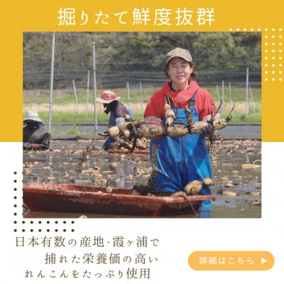 れんこんチップス 30g×10袋セット【1731235】