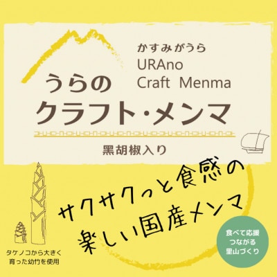 【国産メンマ】サクサクとした食感が楽しい♪かすみがうら産「うらの クラフト・メンマ」100g×2PC【1697558】