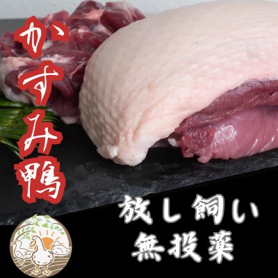 かすみ鴨むね肉　1羽分(800g〜900g程度)【配送不可地域：離島】【1563885】