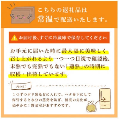 ã«ã£ãã æ¢š 5kg (8ã12ç)ã2026幎çºéãããã¿ãããåžãé
éäžå¯å°åïŒé¢å³¶ã»æ²çžçãã1743818ã