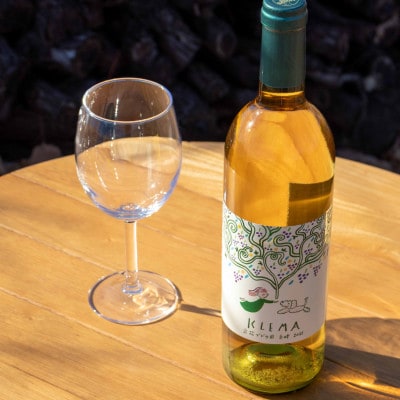 KLEMA 立花ブドウ園 巨峰 2025 白ワイン 750ml×1本【1704016】