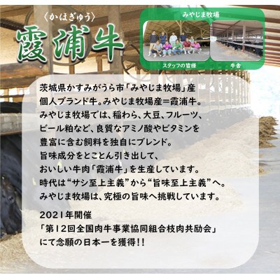 霞浦牛(かほぎゅう)　ステーキ食べ比べ4枚セット(約200g×2/約100g×2)【配送不可地域：離島】【1364363】