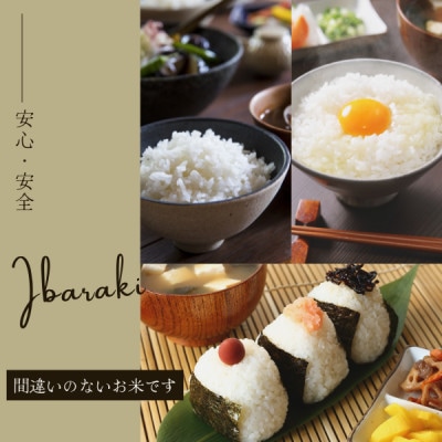 2025年 茨城県産コシヒカリ 精米 計10kg【1638273】