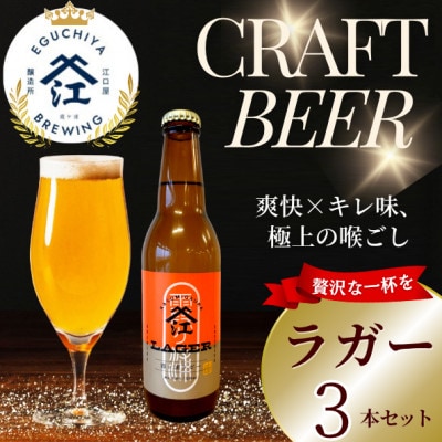 クラフトビール ラガー 計990ml 3本セット【配送不可地域：離島】【1651427】