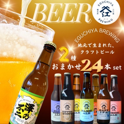 霞ヶ浦エリアの醸造所　江口屋醸造所のクラフトビール2種24本セット【配送不可地域：離島】【1731249】